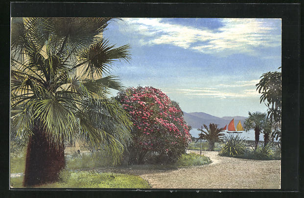 Künstler-AK Photochromie Nr. 1842: Uferlandschaft mit Palmen und Booten